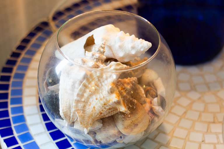 Xango 103 - Ótima Localização 100m da praia